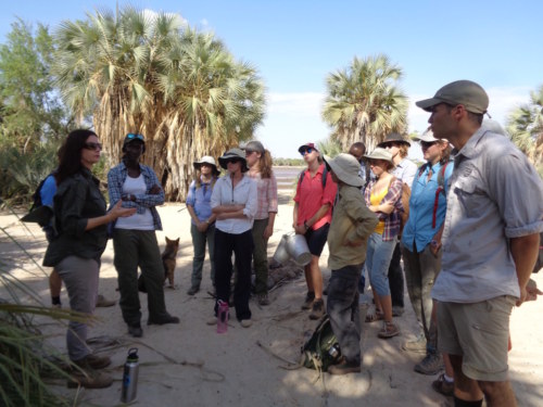 Dr. Harmand explains to the students how this area is a prime spot for collecting nuts