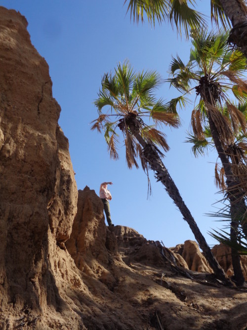 Kathryn tries to get a better vantage point by moving to higher grounds