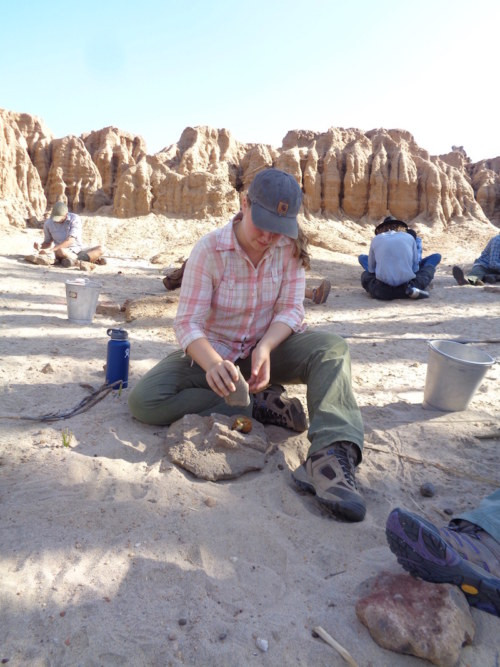 Yvette tries to remove the outer layer of her palm nut by hitting it with a rounded rock