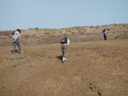 Millie, Jon, and Esther prospect on their way to the second excavation site.