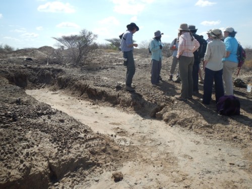 The excavation site where the hominin hunters first found the calcaneus.