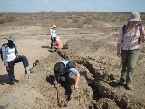 Jon searches these fissures for fossils.