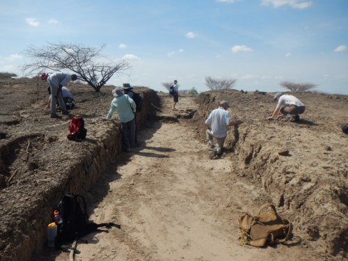 The length of this trench is made apparent by how far away Dr. Skinner is; where he stands is about three-quarters of the distance to the end of the trench.