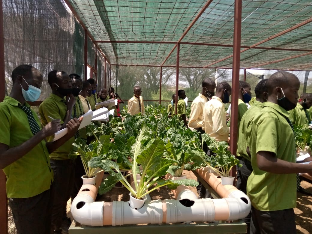 Kerio Boys High School students take notes on visiting the hydroponics at TBI Turkwel 