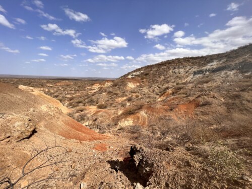 Pan of the Miocene Dead Elephant Valley in Buluk, Kenya