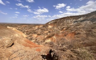 Pan of the Miocene Dead Elephant Valley in Buluk, Kenya