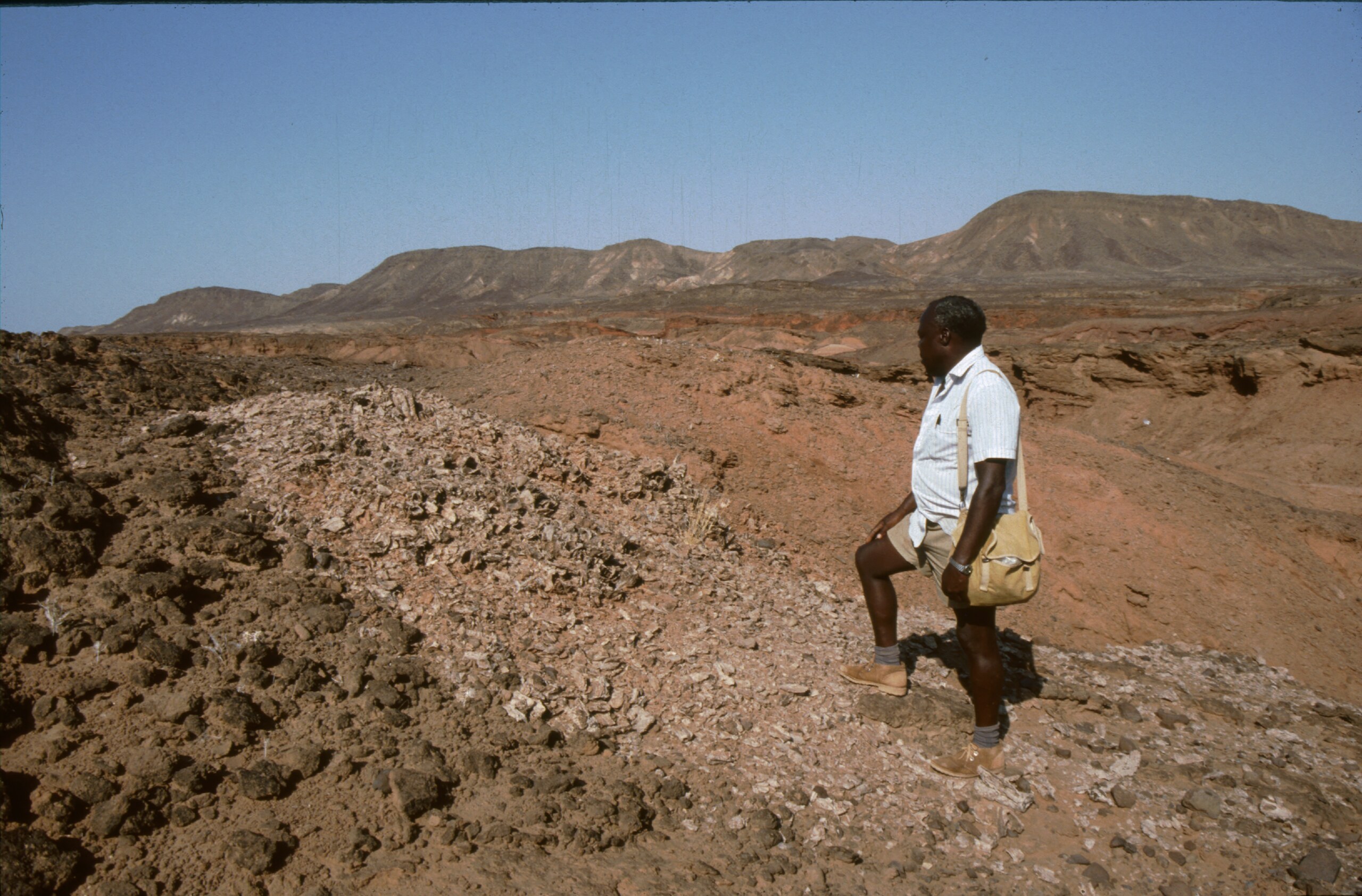 Kamoya Kimeu, legendary Paleontologist, passes away.