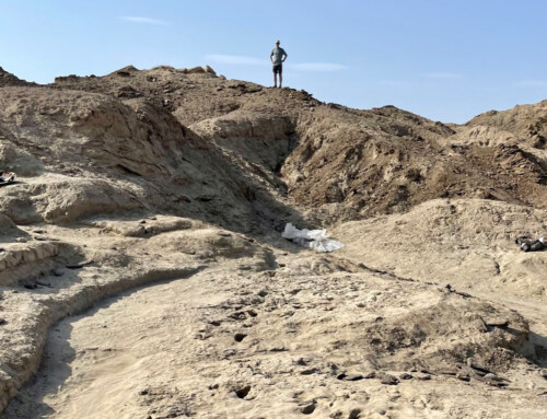 Updates from the field: Discovering new early Pleistocene footprints at Koobi Fora