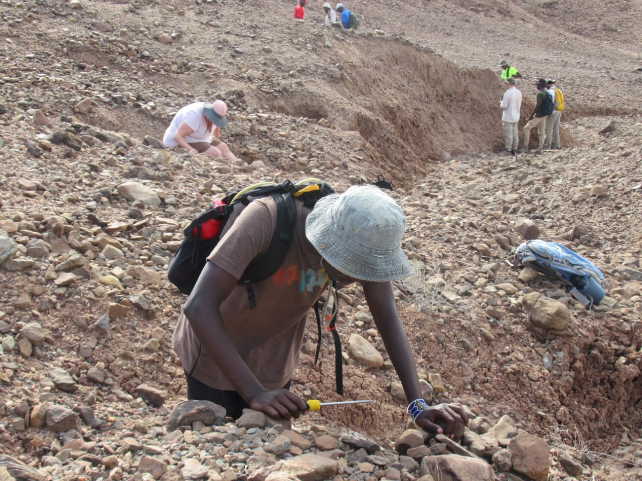 Paleontology in Napudet